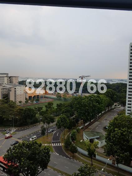 Fernwood Towers (D15), Condominium #155623112